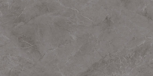 Плитка Kerama Marazzi Марсель серый глянцевый рект. (60х119,5) арт. KM6012B0310R
